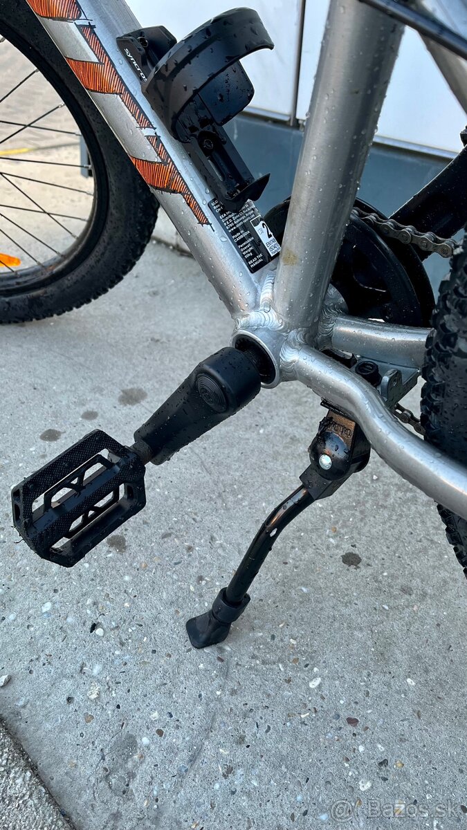 Scott Roxter 20” - 3