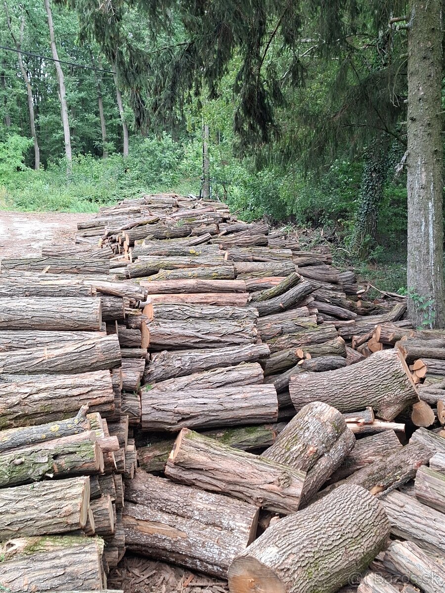Palivové drevo - 3