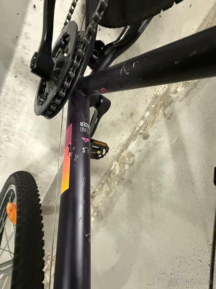 Dema 20” Fialovy - 3