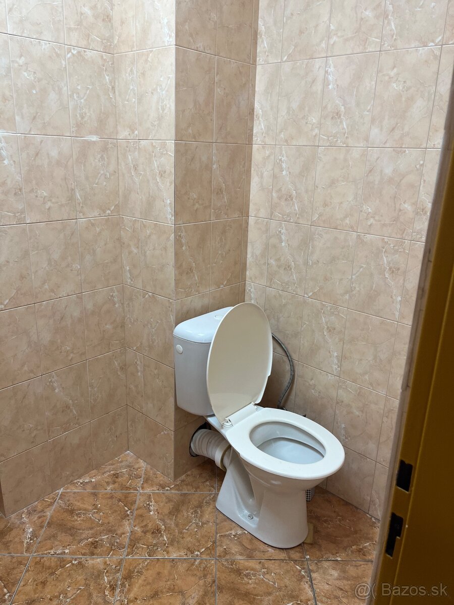 prenajmem priestor moyzesova - 3