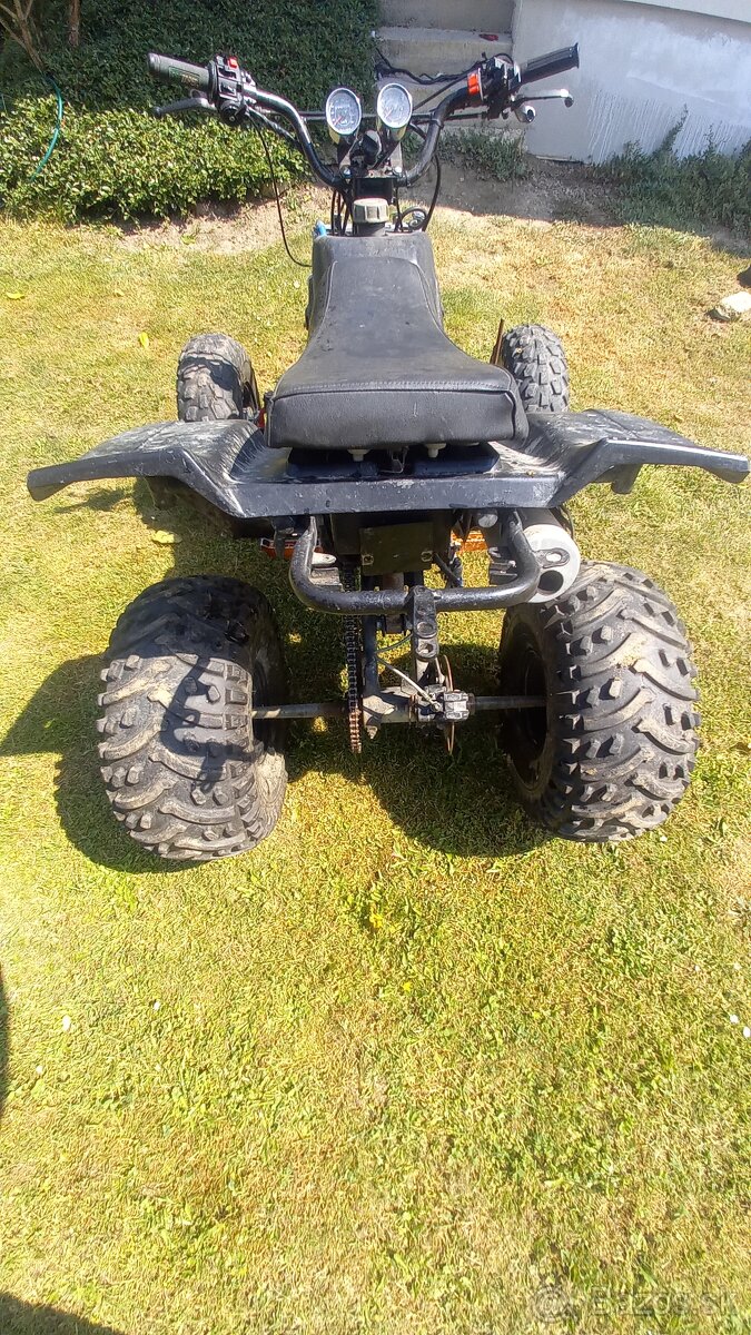 Bashan 200