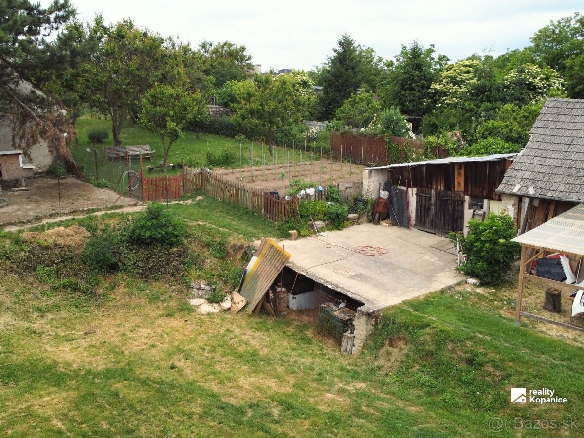 Fotografia 3