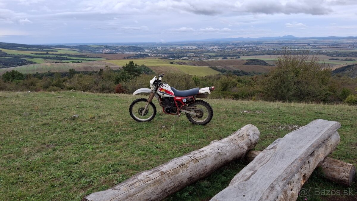 HondaXL600R