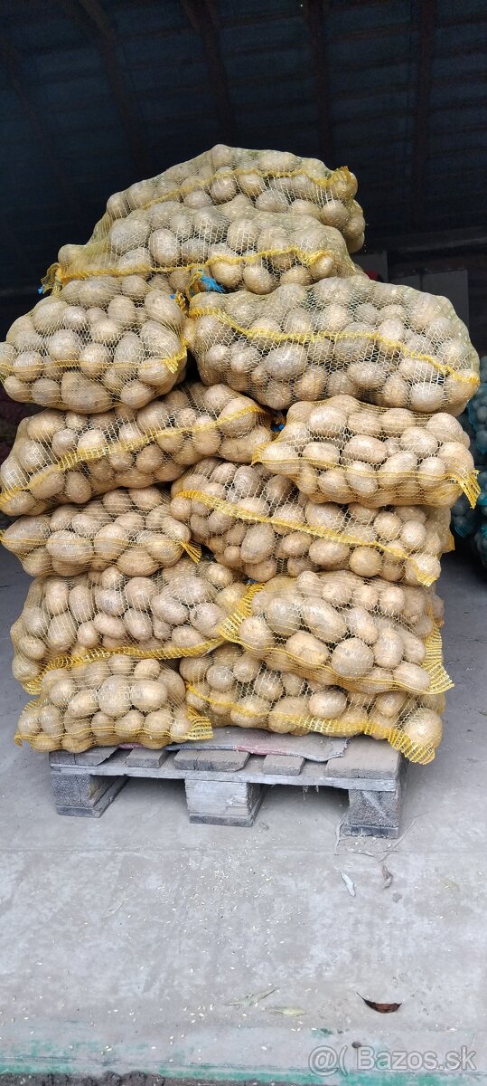 Zemiaky na zimné uskladnenie - 3