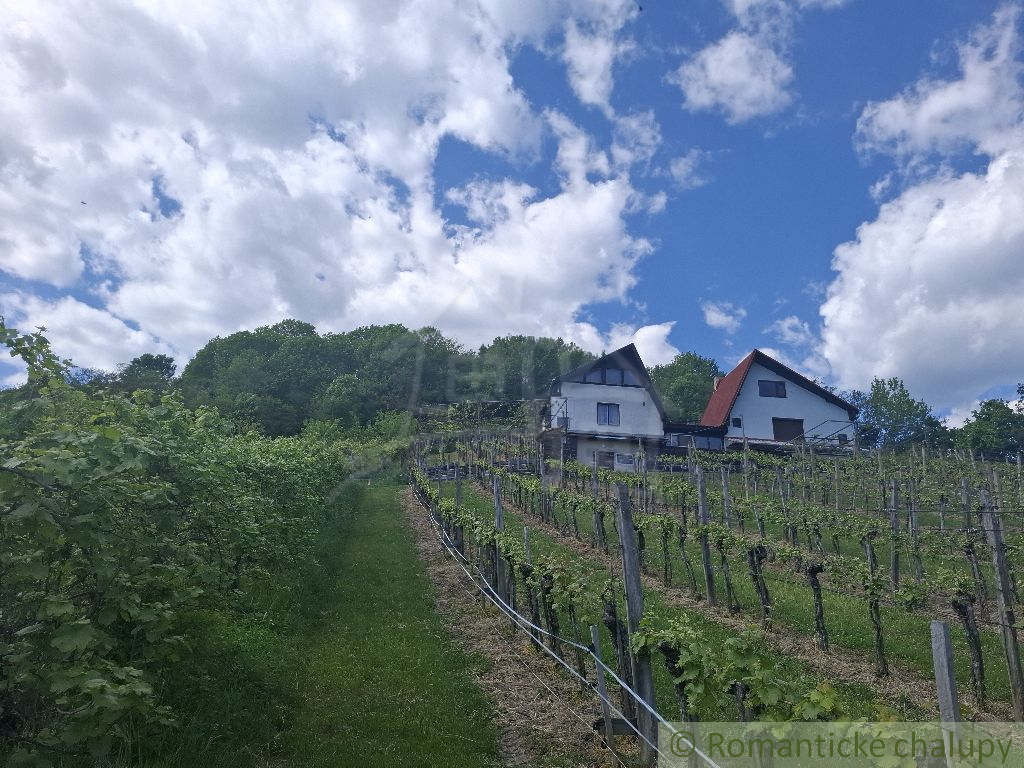 Vínny domček s nádhernými výhľadmi – splnený sen každého v - 3