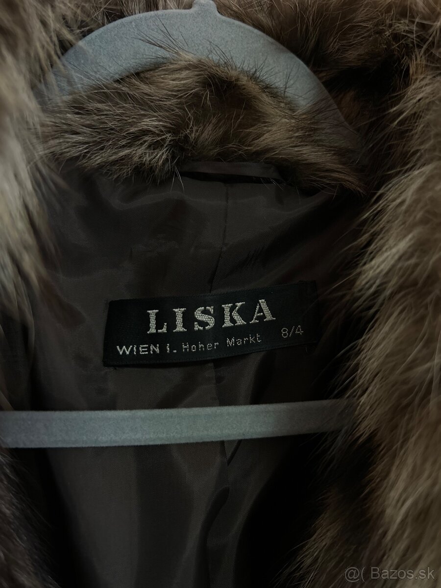 Nadherny kozuch liska - 3