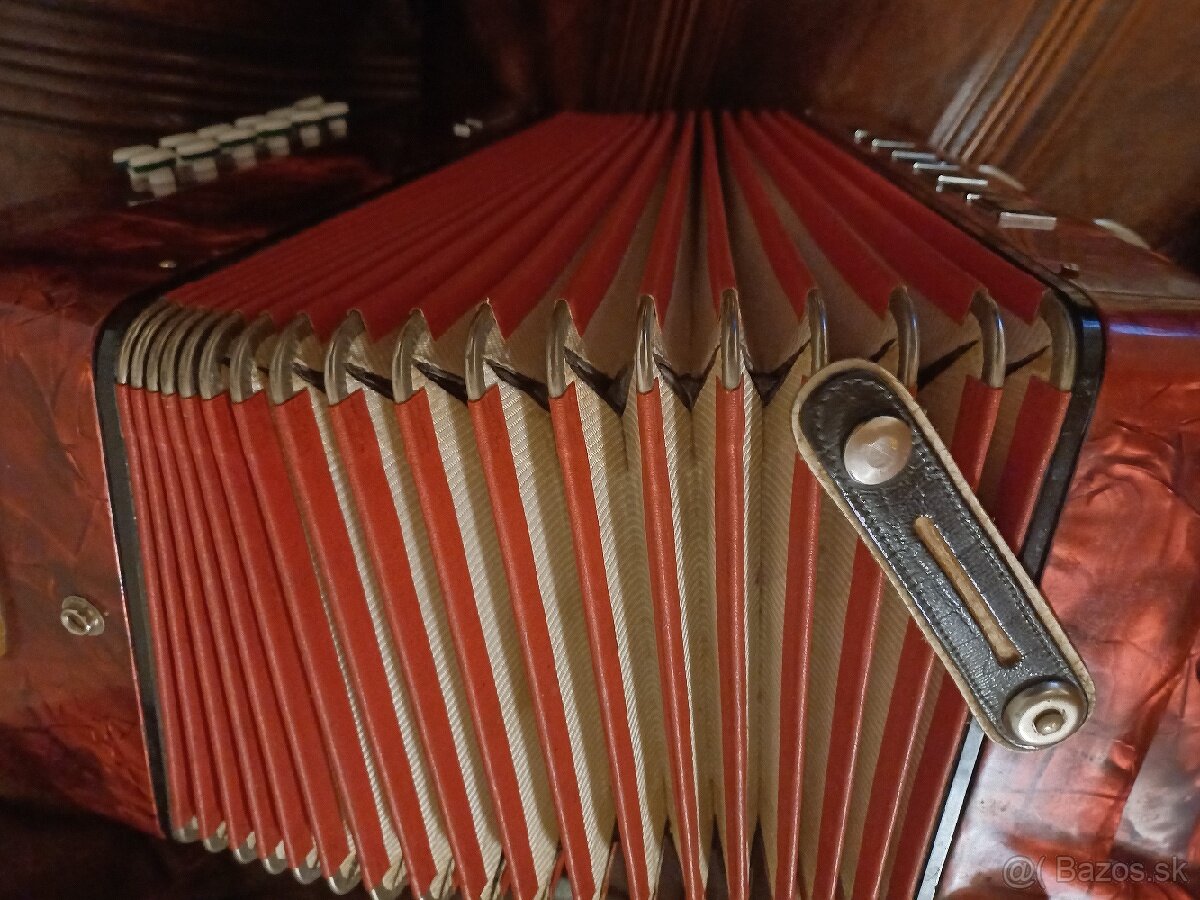 Delicia favorit lll - 3