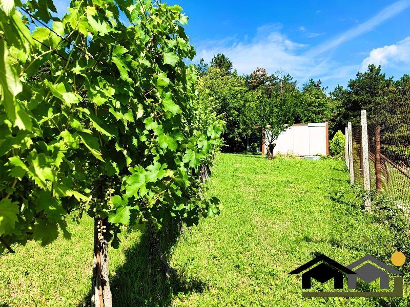 PREDAJ ZÁHRADY, KOLÍŇANY, 617 m² - 3