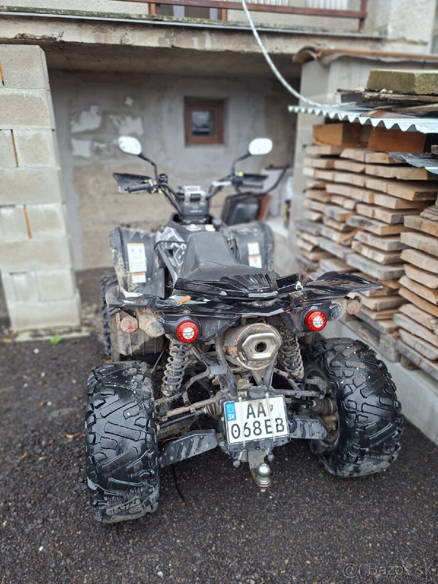 Ṣ̌tvorkolku - Taiwan Golden Bee - 4x4