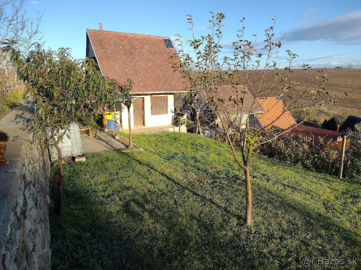 PREDÁM ZÁHRADKU S CHATOU V HOLÍČI. - 3