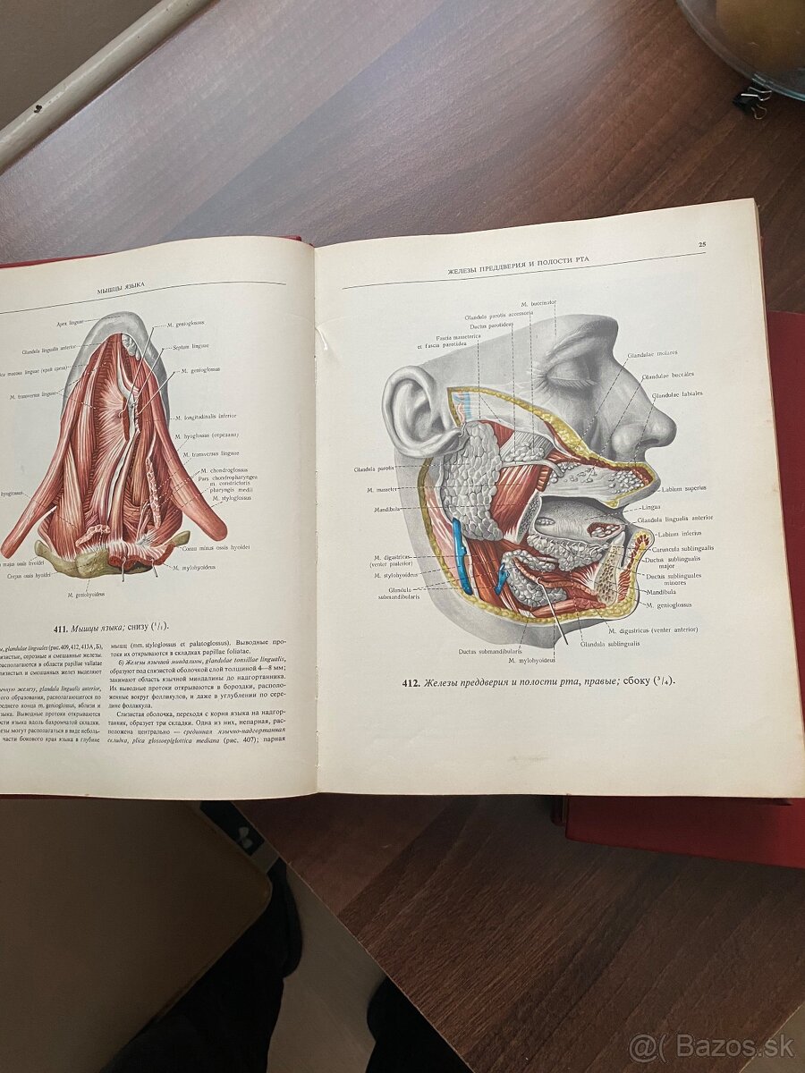 Atlas - Anatomia cloveka 2,3 - 3