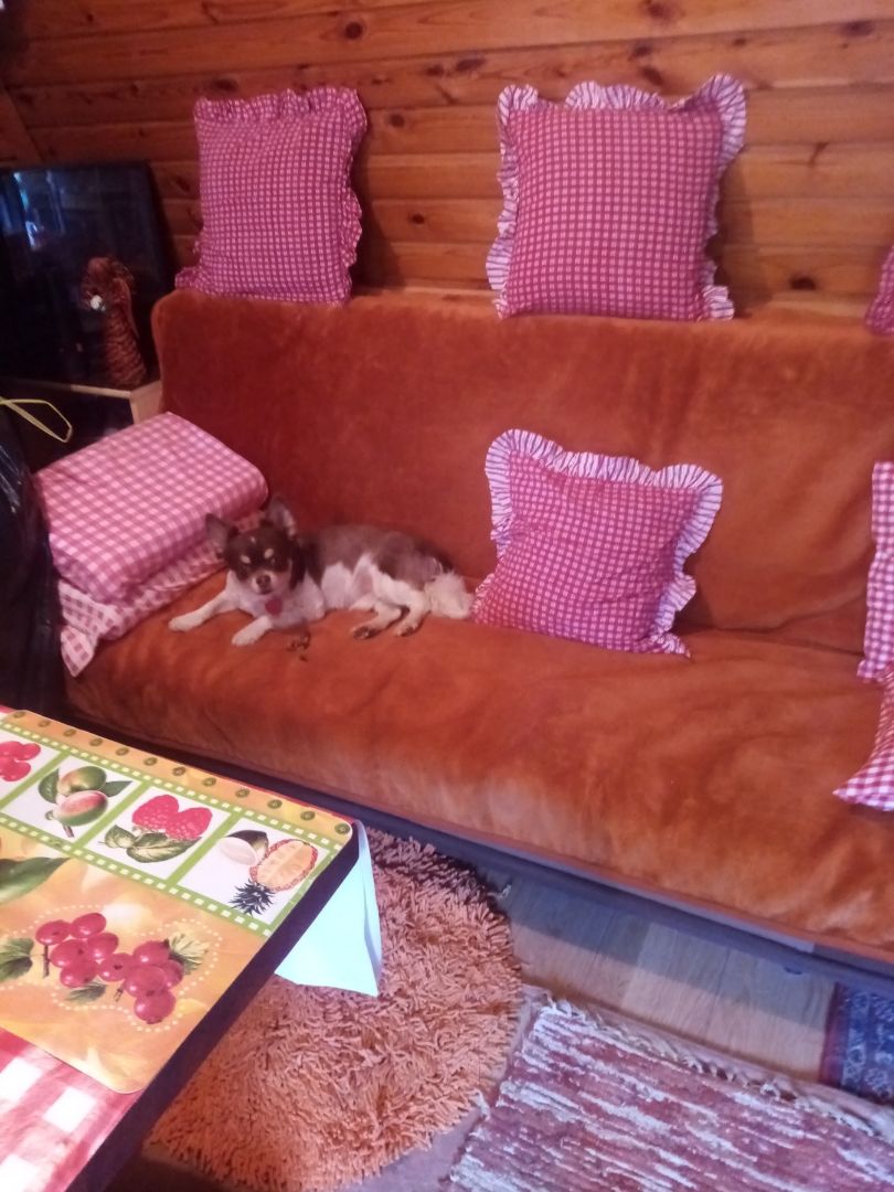 Na predaj pozemok - záhrada, 290 m2, Banská Bystrica - 3