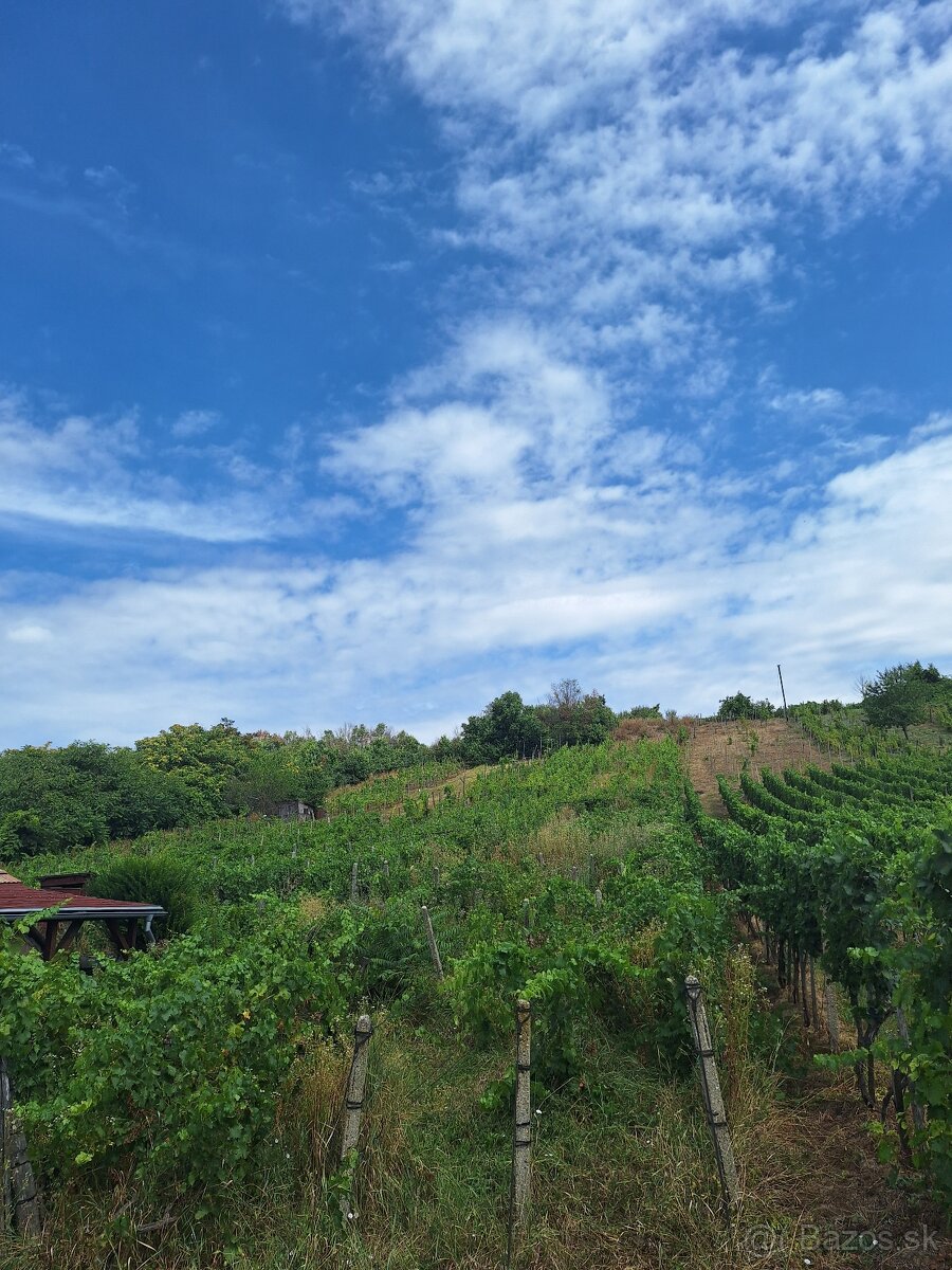 Vinohrad Viničný domček Strekov - 3