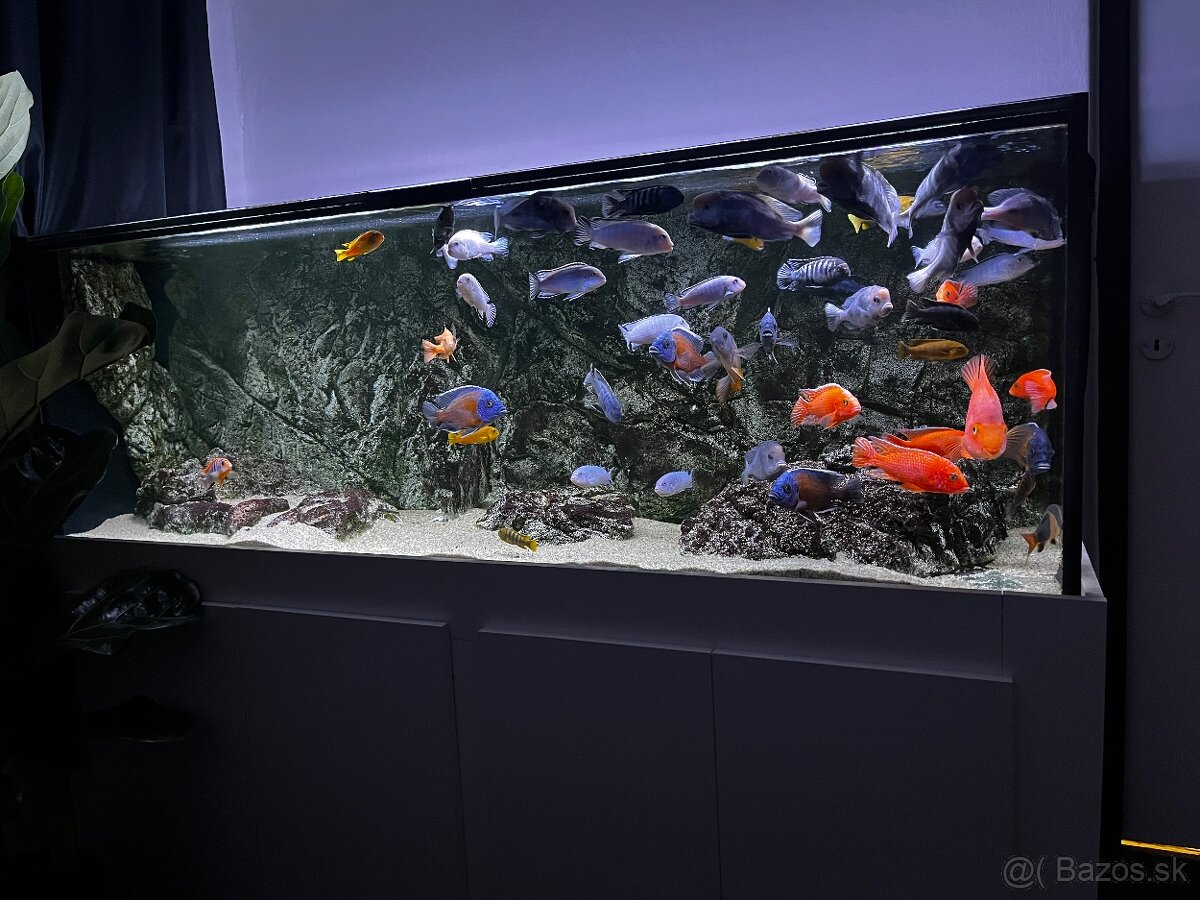 Predám Akvárium 680 L - 3