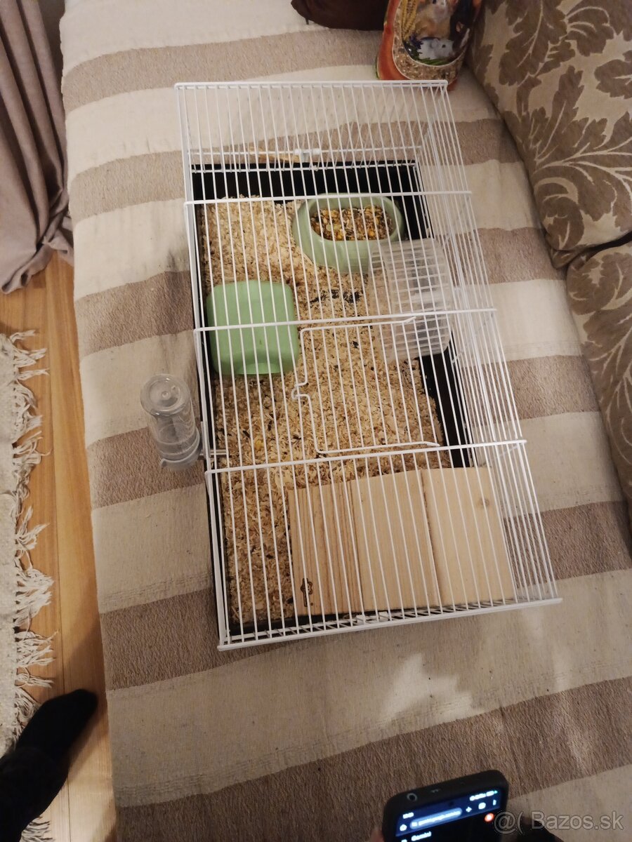 Predám skrečka sírskeho s klietkou - 3