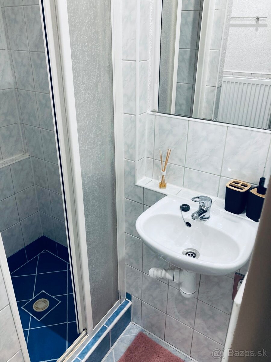 1-izbový byt s PARKOVANÍM - 3