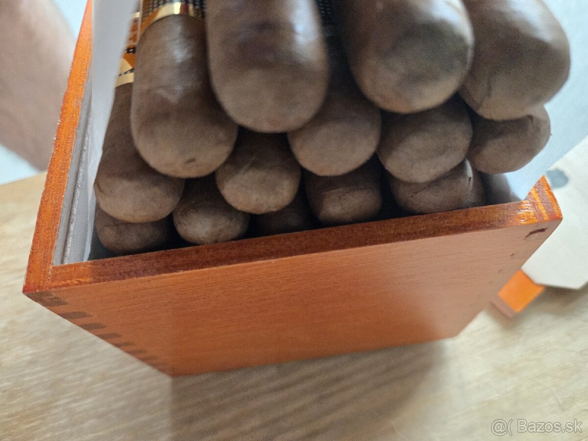 Cohiba Robustos Cigary - 3