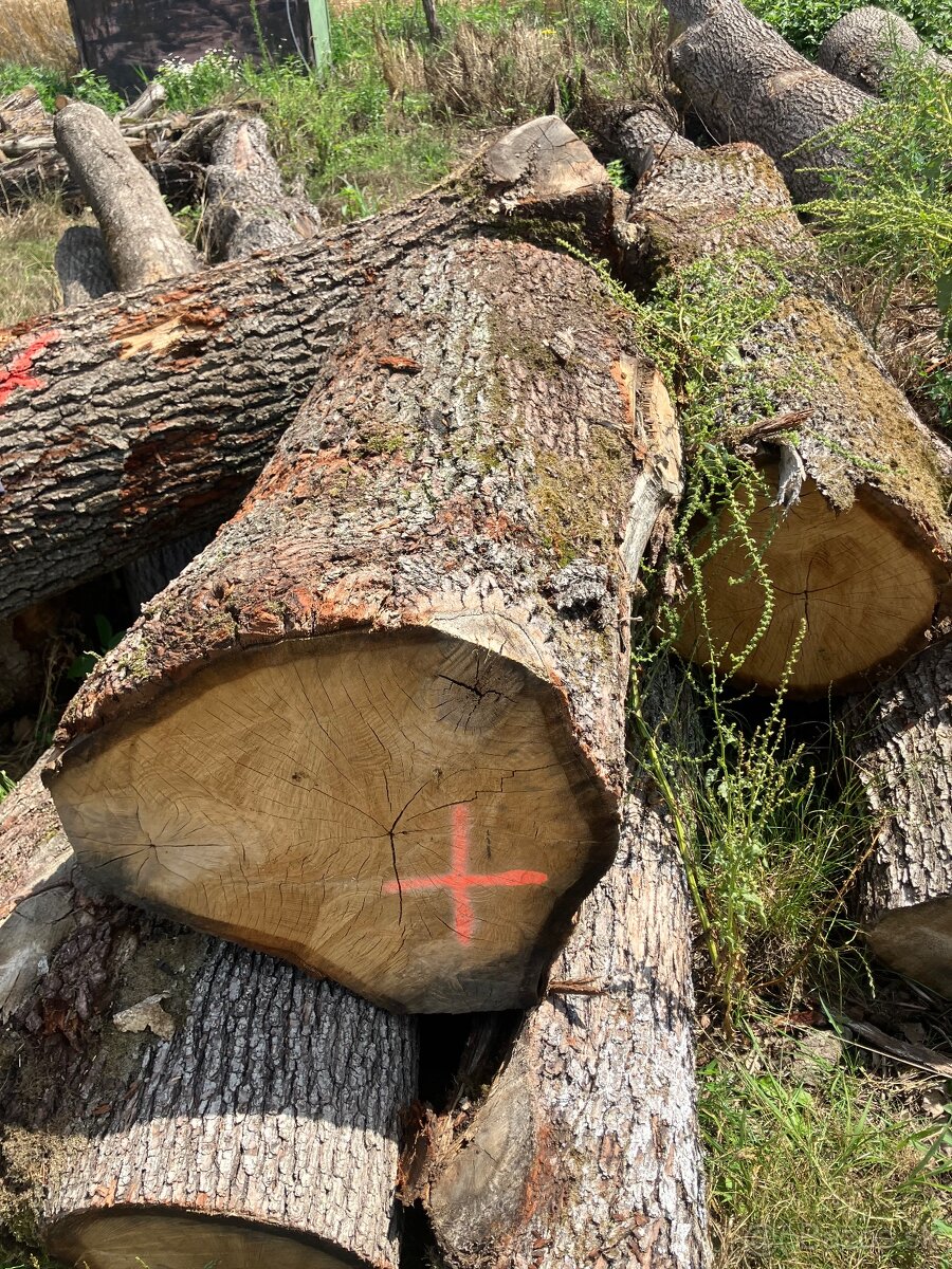 Dubovy pen=stol do exteriu - 3