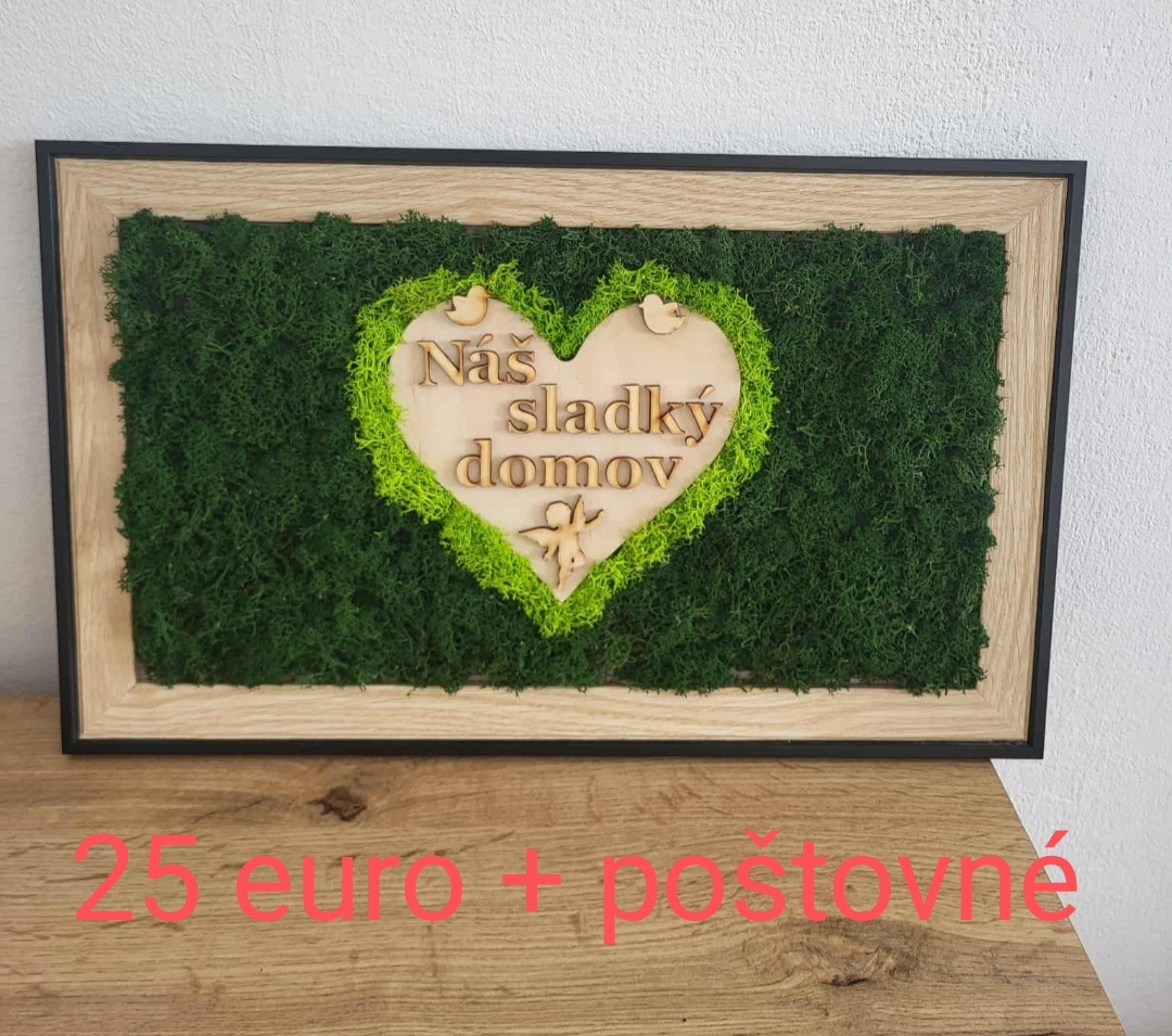 Predám machové obrazy. - 3