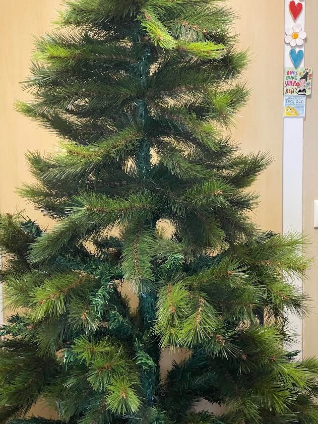 Alpská borovica - vianočný stromček - 3