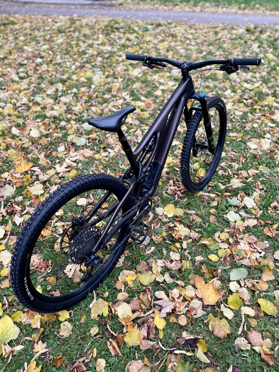 Specialized Stumpjumper EVO S4 (L) - 3