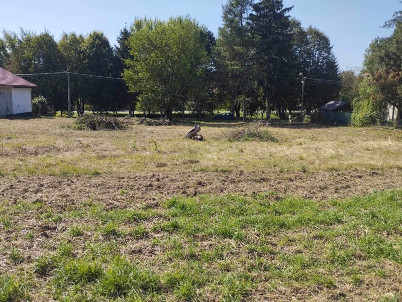 PREDAJ veľký pozemok v obci Dedinka. 5850 m2. - 3