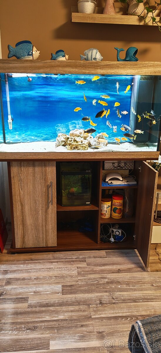 Predám komplet akvarium - 3