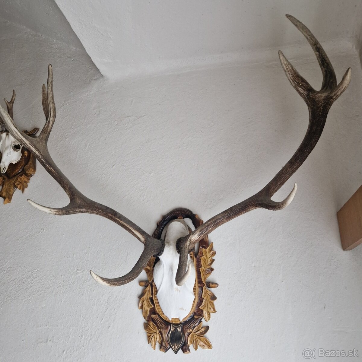 POLOVNICKE TROFEJE - 3