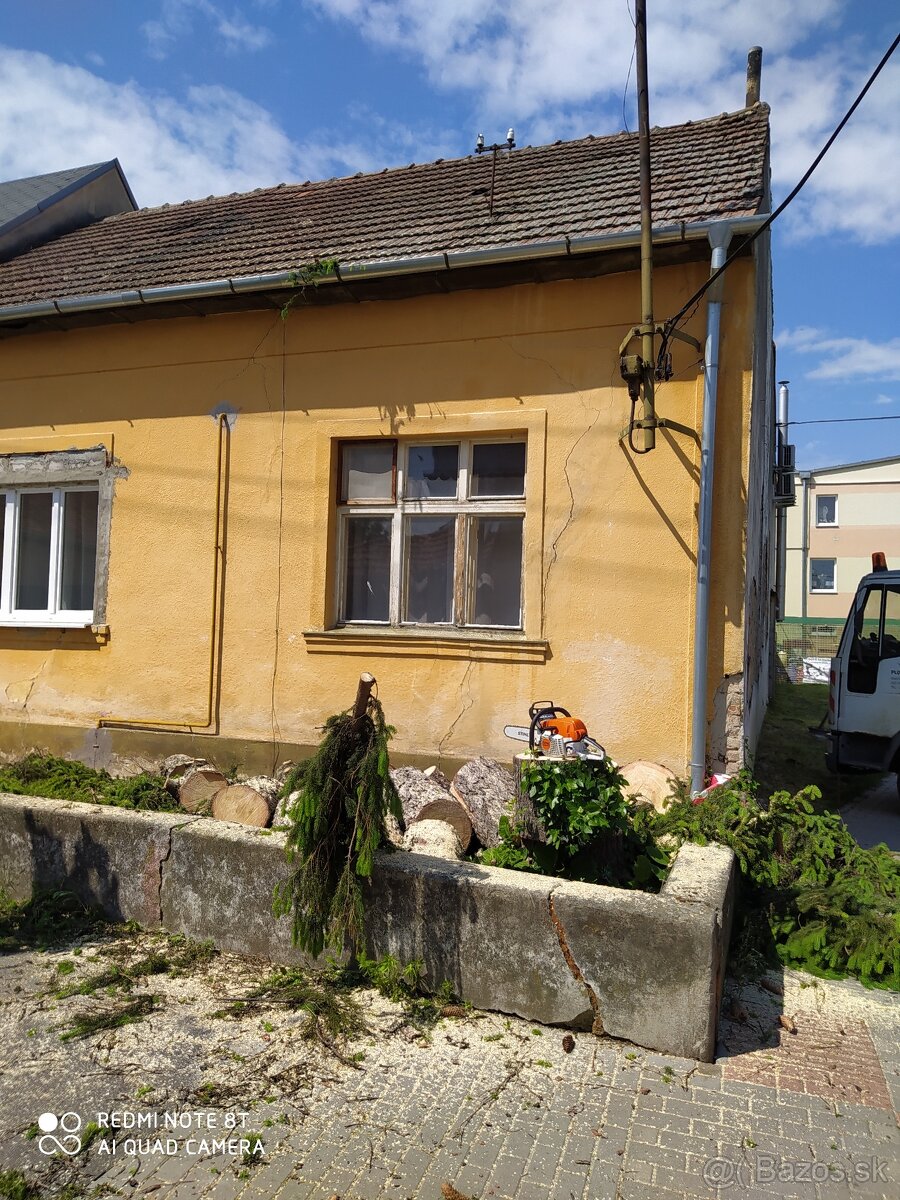 Pílenie riziiovych stromov - 3