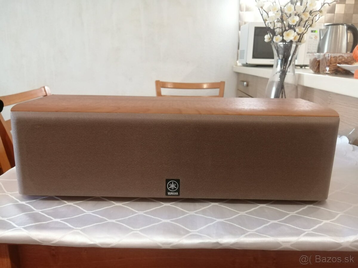 Center-Yamaha-NS-C55 - 3