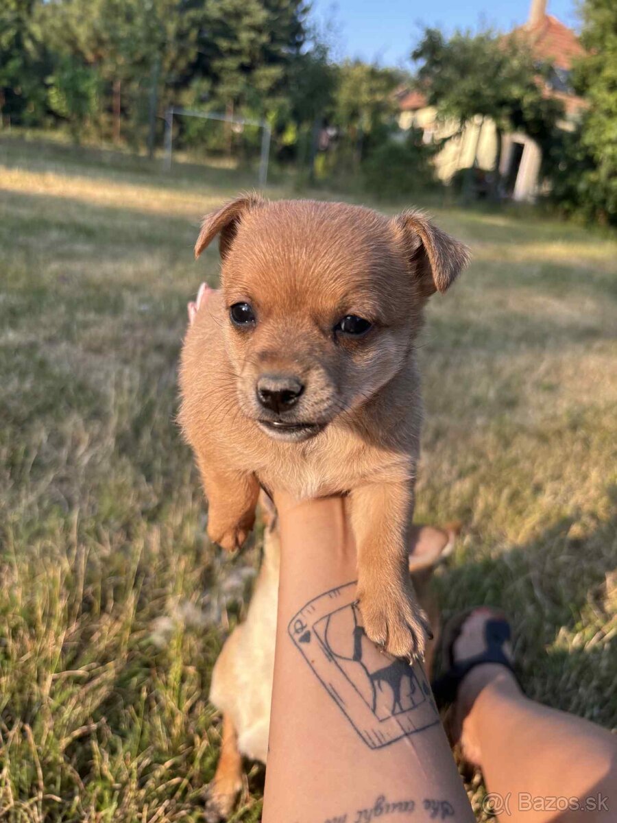 Darujeme len do dobrých rúk ‼️ - 3