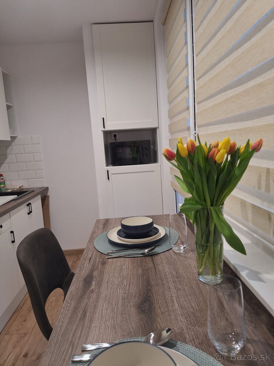 Prenájom 1 izbového bytu na sídlisku Západ 1 - Rezervovaný - 3