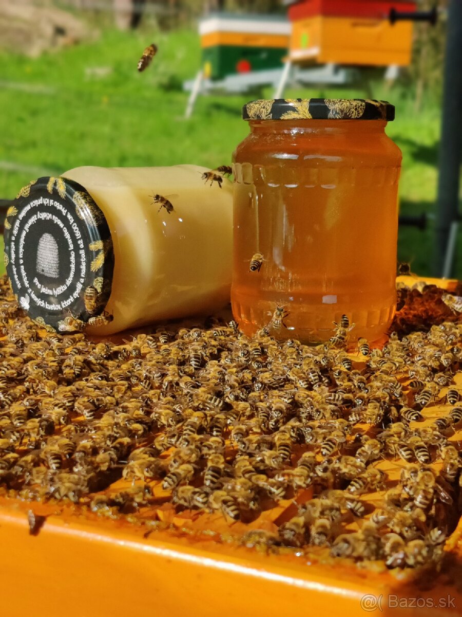 Domáci včelí med z Turčianskej záhradky - 3