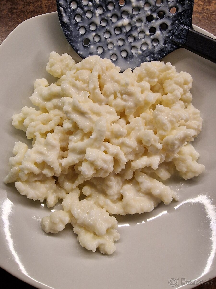 Predám kefirovu hubu - 3