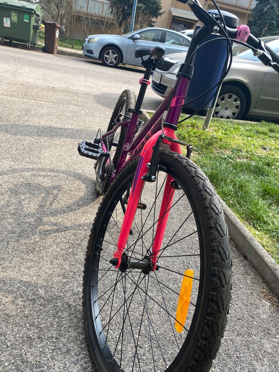 Detský bicykel Galaxy Ruby - 3