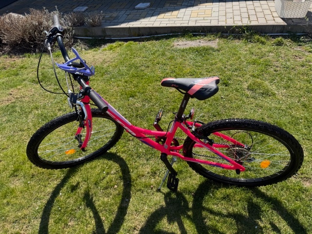 Detsky bicykel Missy 24 - 3