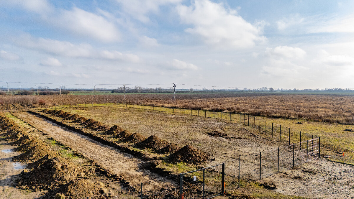 Záhradky na predaj, Veľké Kapušany - 3