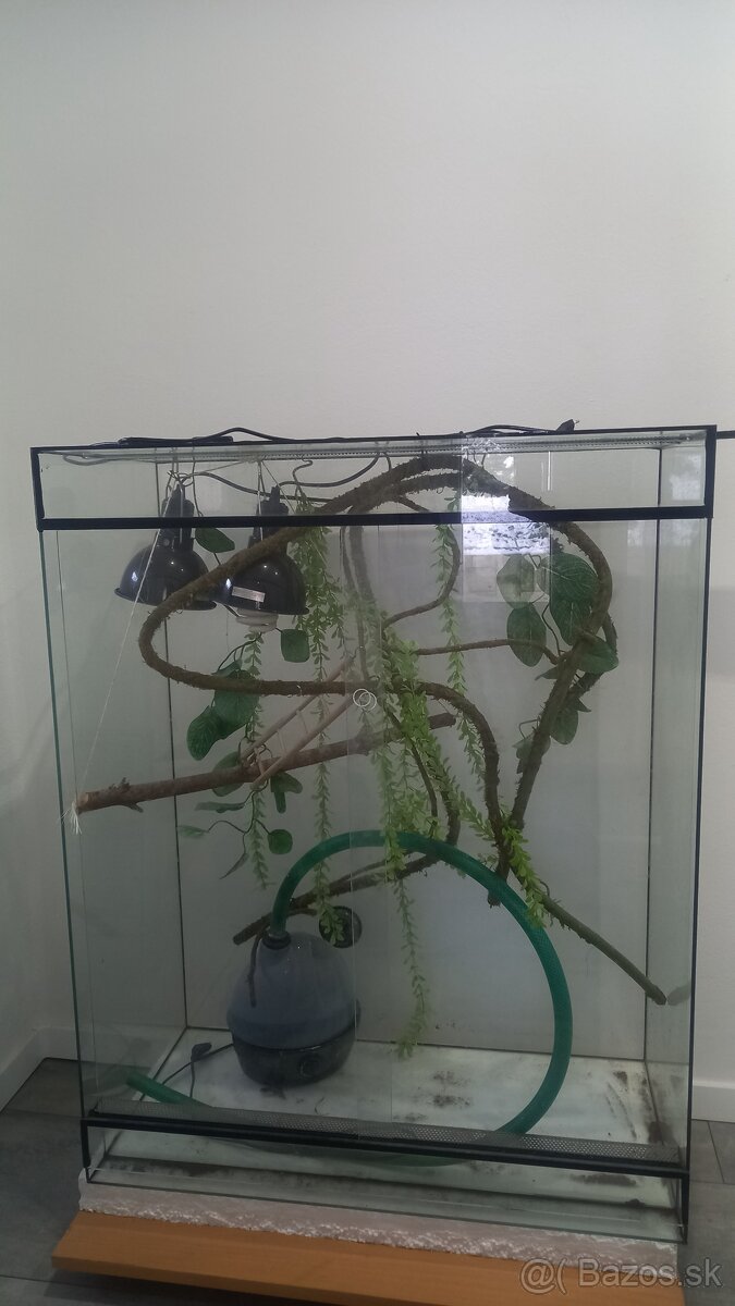 Terárium - 3