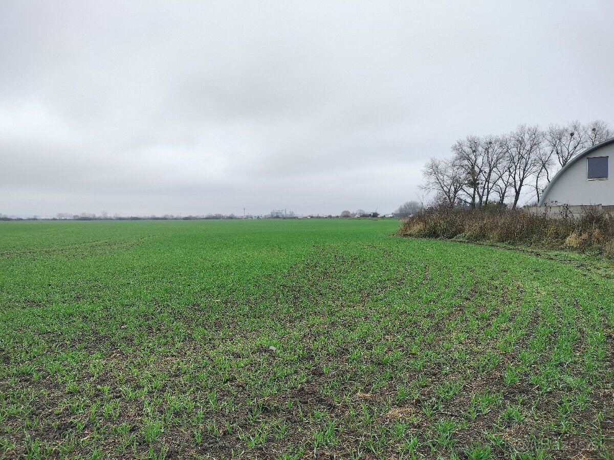 Pozemok Sečovce, sklady a výroba - 3