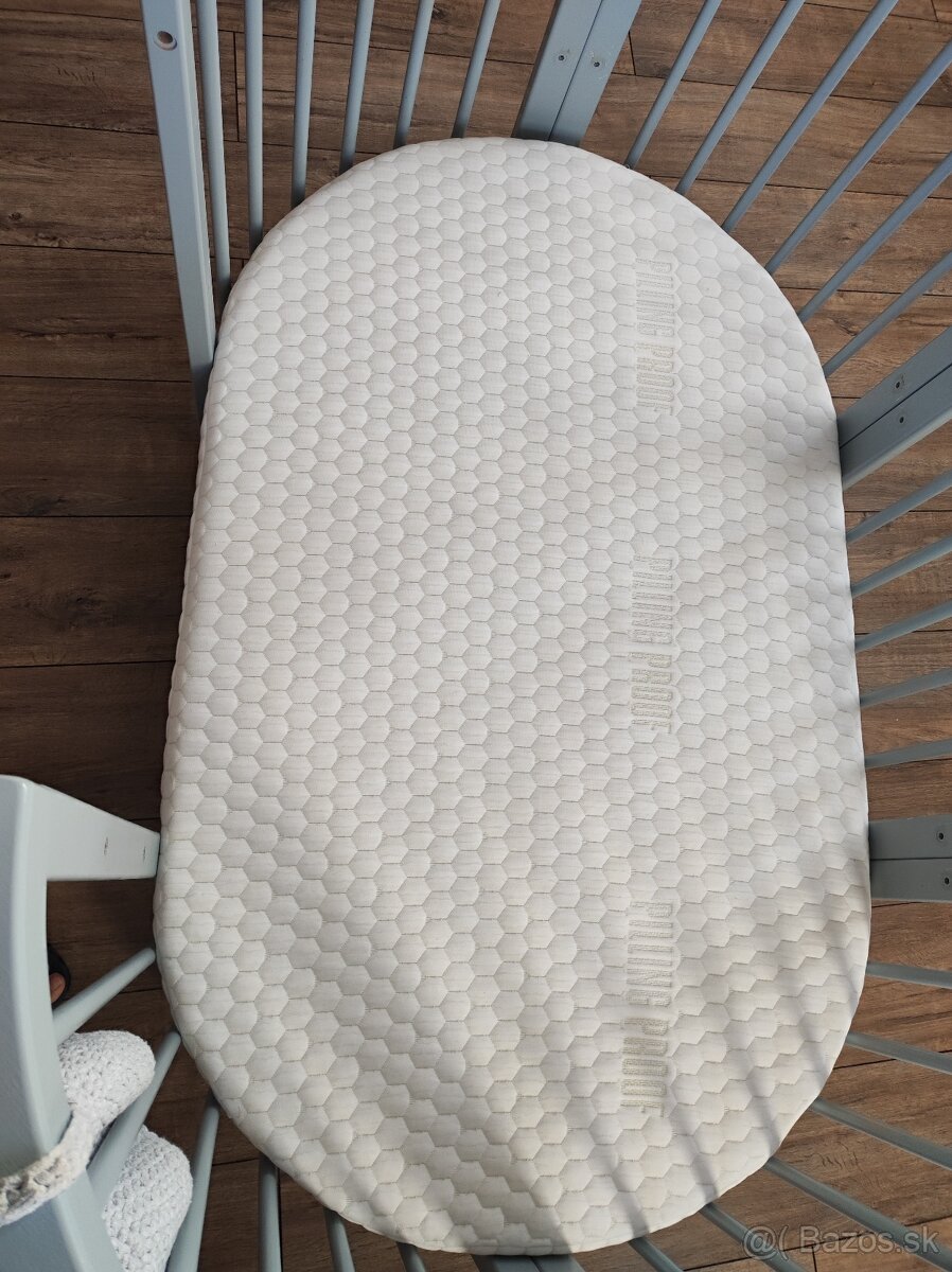 Rastúca postieľka sivá - 3