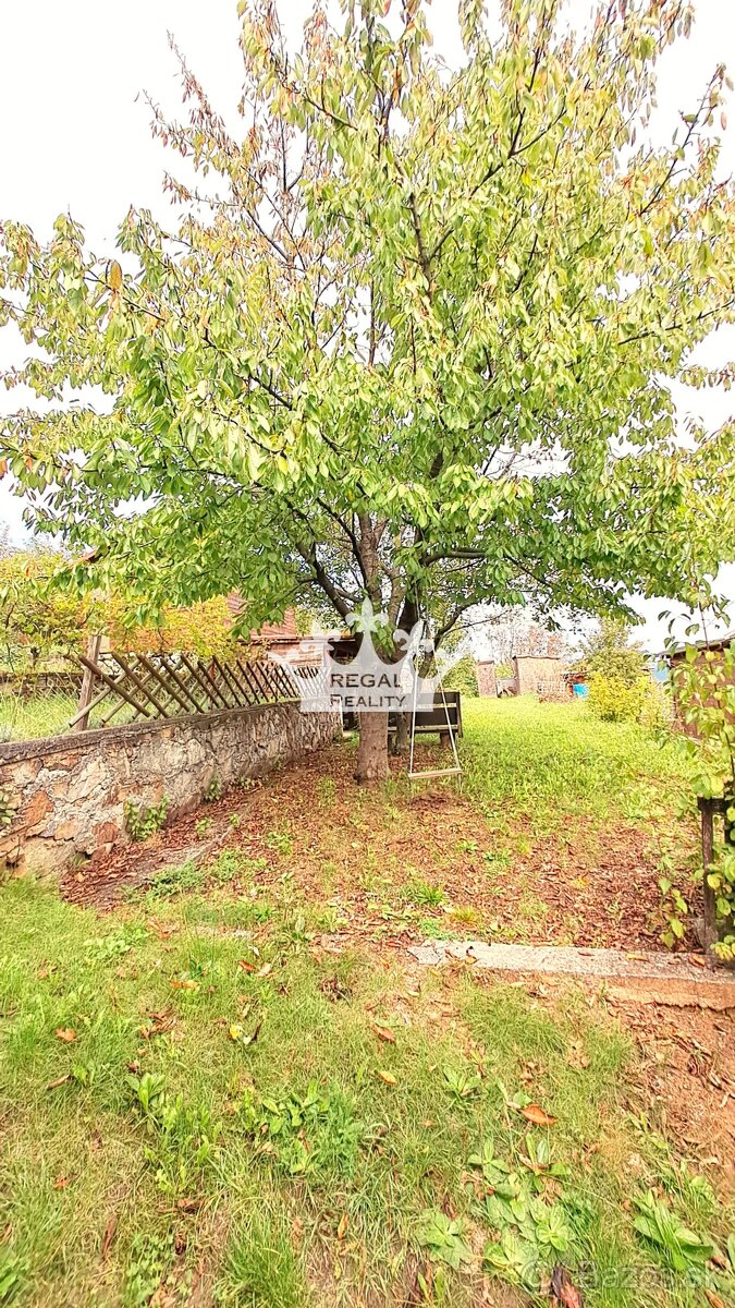 Rekreačná chatka v záhradkárskej osade - 3