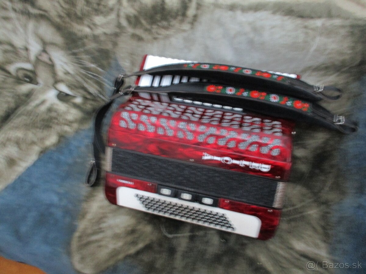 harmonika delicia carmen 22 - 3