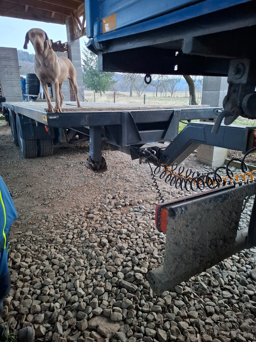 Prives, podvalnik... - 3