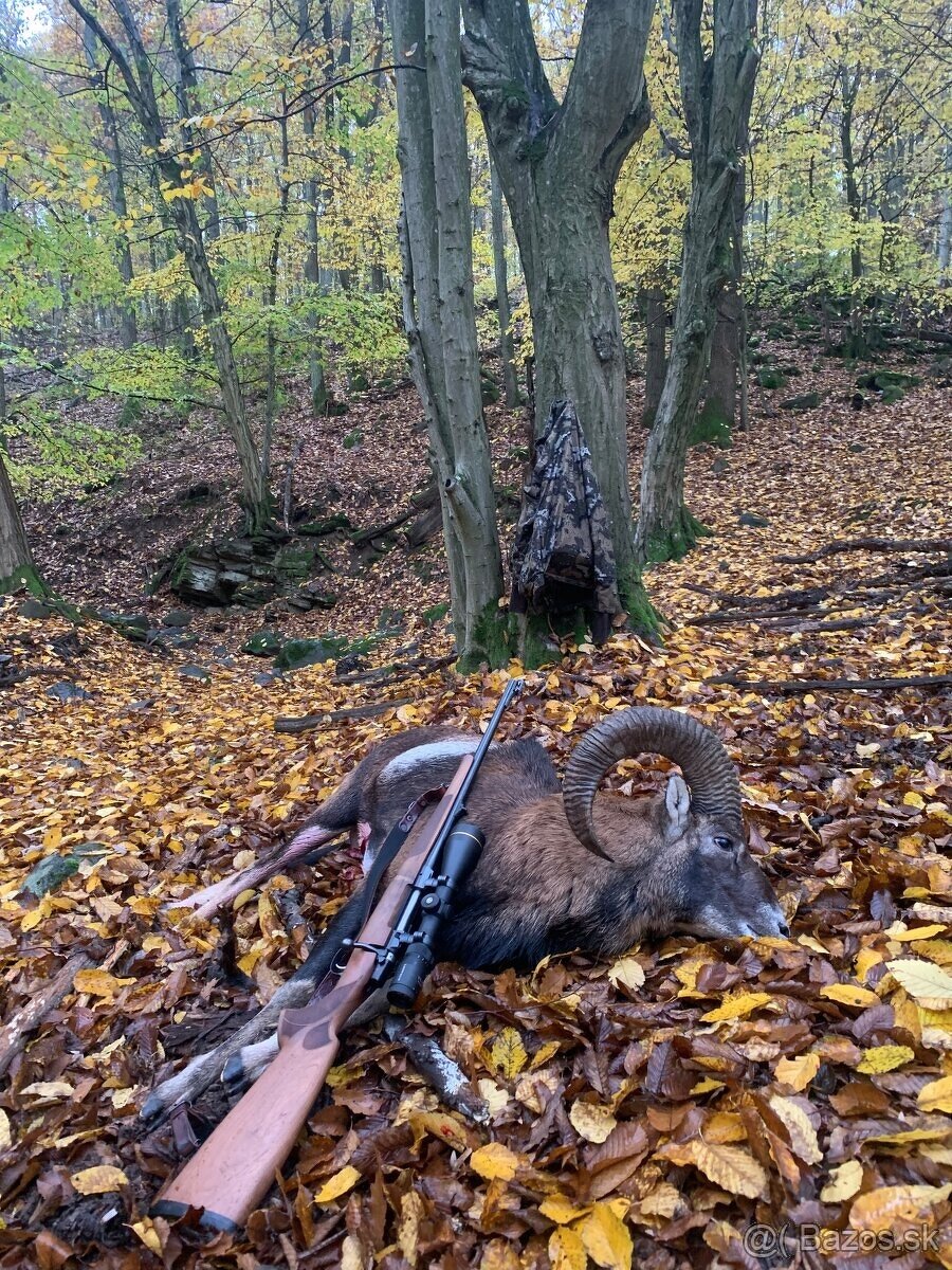 Celoročný lov- polovačka - 3