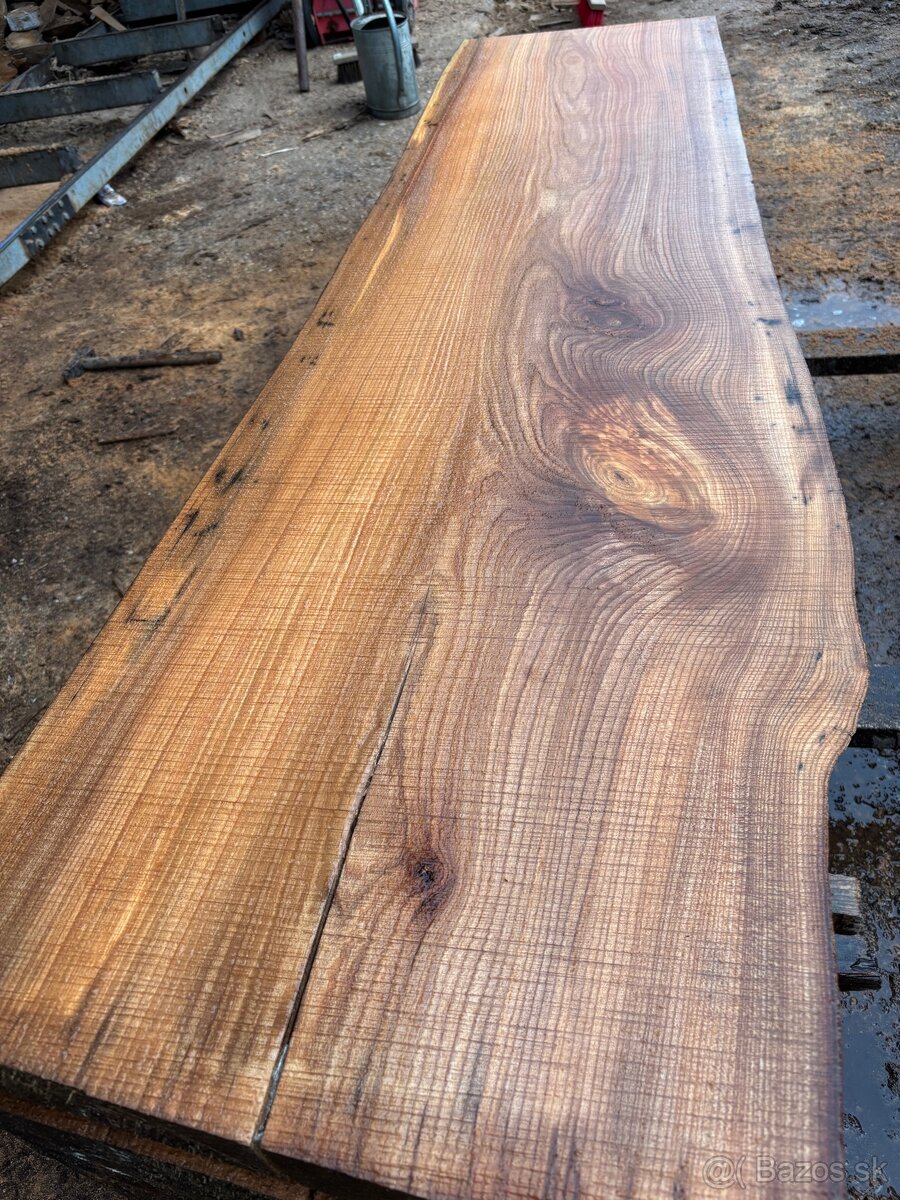 Rezivo Brest Brestove Fošne Kmene Drevo - 3