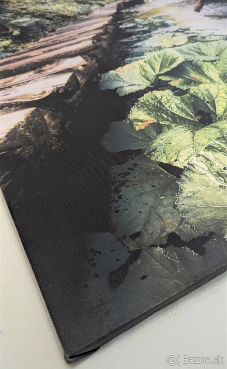 Fotoobraz zo Slovenského raja, oblasť Tomášovská Belá
- 3