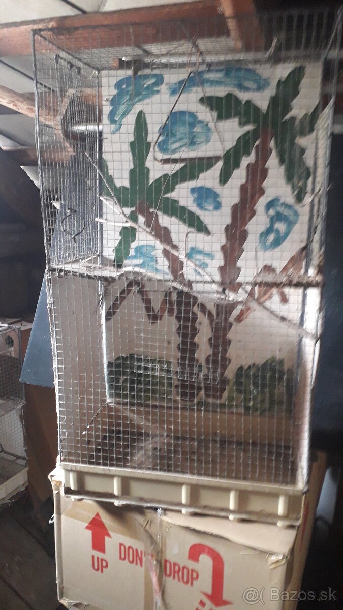 klietka - 3