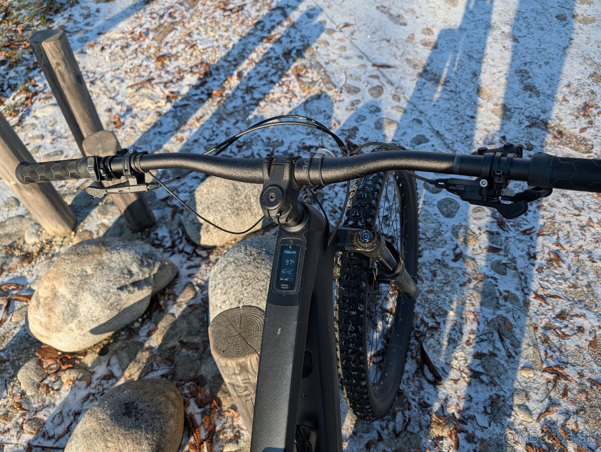 Trek Fuel EXe 9.5- L - 3