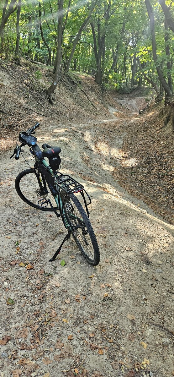 Kellys Phanatic 10 - 3