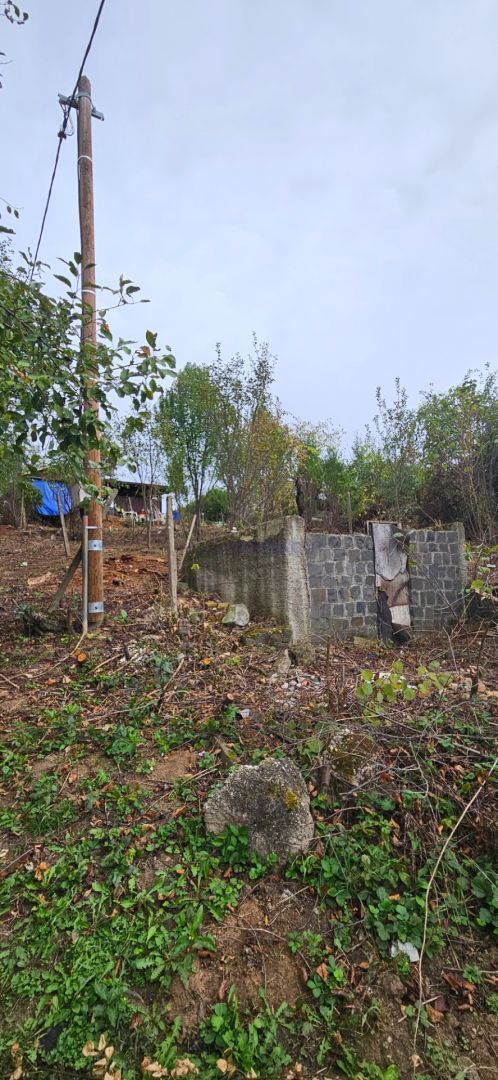 Zahradka Mala Ves Lucenec ID 2240 - 3